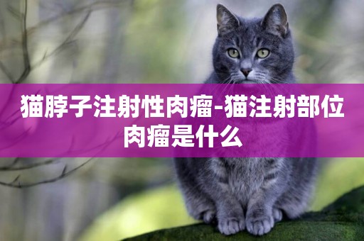 猫脖子注射性肉瘤-猫注射部位肉瘤是什么